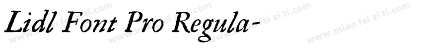 Lidl Font Pro Regula字体转换